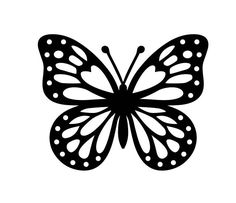 a black and white butterfly on a white background