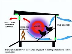 the diagram shows how birds are perched on top of a television screen with arrows pointing to different areas