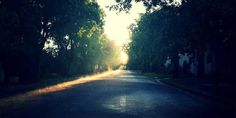 the sun is shining down on an empty street with trees lining both sides and one lane