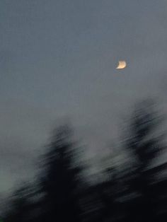 a blurry photo of trees with the moon in the sky