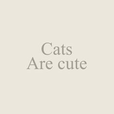 the words cats are cute written in grey on a white background with an image of a cat