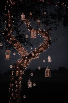 a tree with lanterns hanging from it's branches and lights on the branches at night