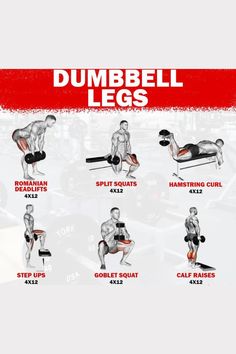 If you only have a pair of dumbbells you can do this workout and can build muscles. Try this workout if you only have a pair of dumbbells. Leg Bicep Workout, Mens Leg Workout At Home, Dumbles Excercise, At Home Workouts For Men Dumbbells, Dumbbells Workout At Home, Lower Dumbbell Workout, Legs Dumbbell Workout At Home, Dumbell Workout Leg, Leg Exercises Dumbbells