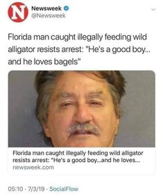 an image of florida man caught illegally feeding wild alligators