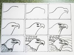 four different pictures of an eagle with the same head and beak, each one drawn by hand