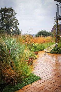 a garden with lots of tall grass and plants on the side of the building, next to a brick walkway