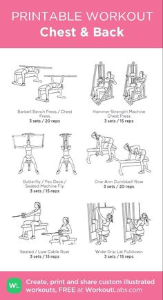 the printable workout chest and back poster