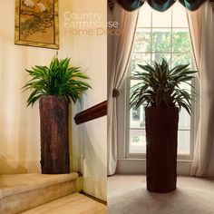 two pictures side by side one has a potted plant and the other has a window