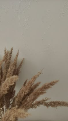 some dry grass is in a vase on the table next to a wall with white paint