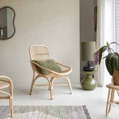 a living room filled with furniture next to a mirror and potted plant on top of a table