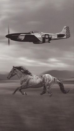 two horses running in front of an airplane flying over the ground with another horse behind them