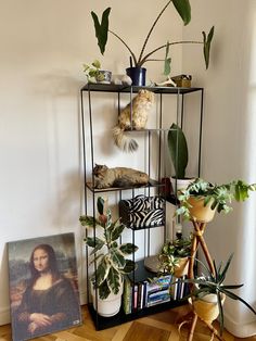 a shelf filled with plants and pictures on top of a hard wood floor next to a white wall