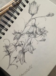 a pencil drawing of flowers on paper