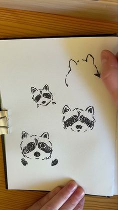 a hand is holding a piece of paper with drawings of raccoons on it