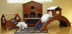 two cats are sitting on top of a wooden toy house and cat play set in front of them