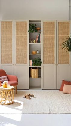 a living room filled with furniture and lots of storage space next to a potted plant