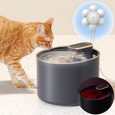 an orange tabby cat playing with a water fountain