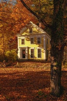 a yellow house surrounded by trees and leaves