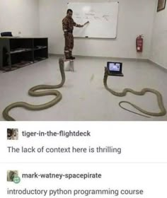 a man standing in front of a whiteboard with two snakes on it and another person pointing