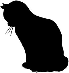 the silhouette of a cat is shown on a white background