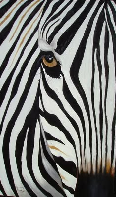 black and white photograph of a zebra's face with the eye looking straight ahead