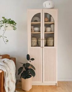 a living room with white walls and wooden floors, a plant in a pot on top of the cabinet