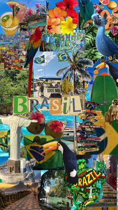 a collage of photos with the words brasil in different languages and pictures of colorful birds