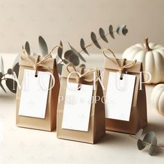 three brown paper bags with white tags tied to them