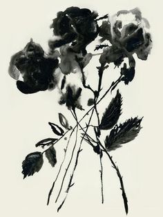 black and white photograph of flowers against a white background