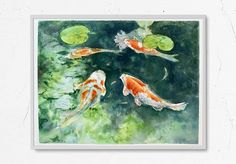 three koi fish swimming in a pond with lily pads