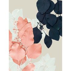 Indigo and Blush Leaves IV Poster Print - Jennifer Goldberger-VARPDX126967GG Image 1 Flower Map, Stock Paper, Map Painting, Support Mural, Artist Canvas, Trademark Fine Art, Wrapped Canvas Art, Art Sur Toile, Red Barrel Studio