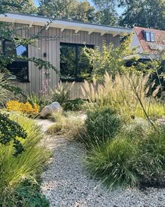 a house with lots of plants and rocks in the front yard, next to it is a gravel path