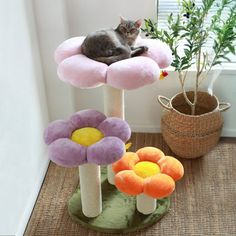 a cat laying on top of a flower shaped scratching post