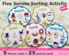 five different types of cards with the words'five sense sorting activity'on them