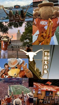 the collage shows many different sports teams and their mascot, including an texas longhorns mascot