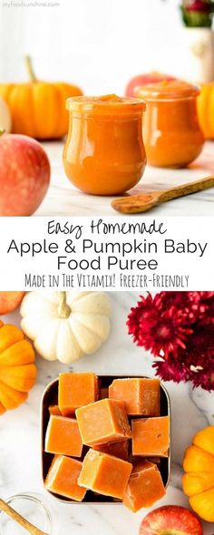 an image of homemade apple and pumpkin baby food