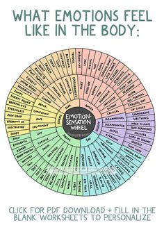 a wheel diagram with the words emotion and feelings on it