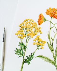 a drawing of some yellow flowers on a white paper next to a marker and pen