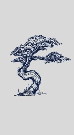 a drawing of a bonsai tree in blue ink on gray paper by artist and photographer mark taylor