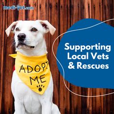 a white dog wearing a yellow bandana with the words supporting local vets and rescuers