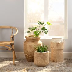 three potted plants sitting next to each other on a rug in front of a window