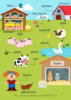 the farm animals and their names are shown in this graphic diagram, which includes an image of