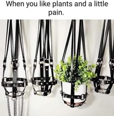 three hanging planters with plants in them and chains attached to the wall behind them