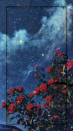 red roses are in the foreground with a sky filled with stars