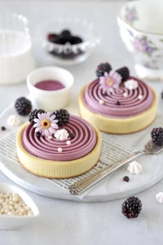 two desserts on a plate with blackberries and raspberry sauce in the background