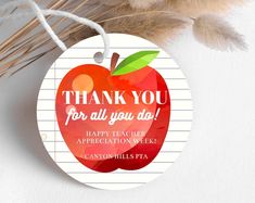 thank you for all you do teacher appreciation week ornament with an apple on it