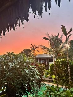 the sun is setting over some trees and bushes in front of a house with palm trees