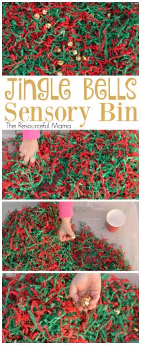 the instructions for how to make an insect - themed bin with sprinkles