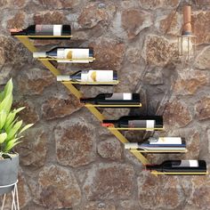 the wine bottles are lined up on the shelves next to the stone wall and potted plant