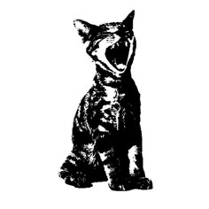 a black and white drawing of a cat